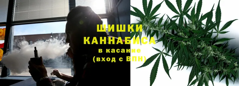 хочу наркоту  Гвардейск  mega ссылка  Бошки марихуана SATIVA & INDICA 